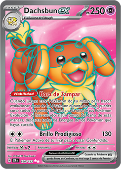 Dachsbun ex - 160/142