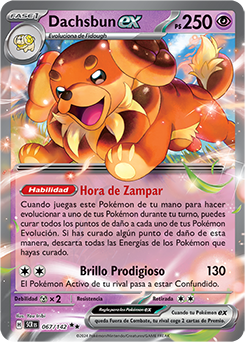 Dachsbun ex - 067/142